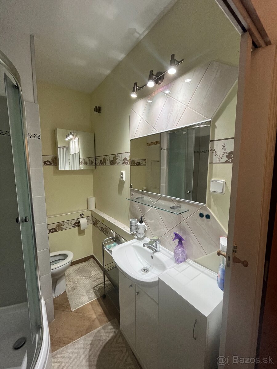 Prenajmem -1 izbový byt v Šali - 5