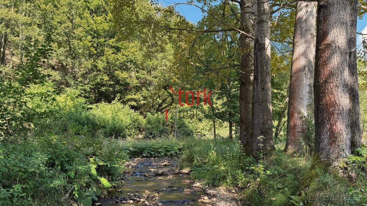 Na predaj - trvalý trávny porast - Rajecká Lesná - 5