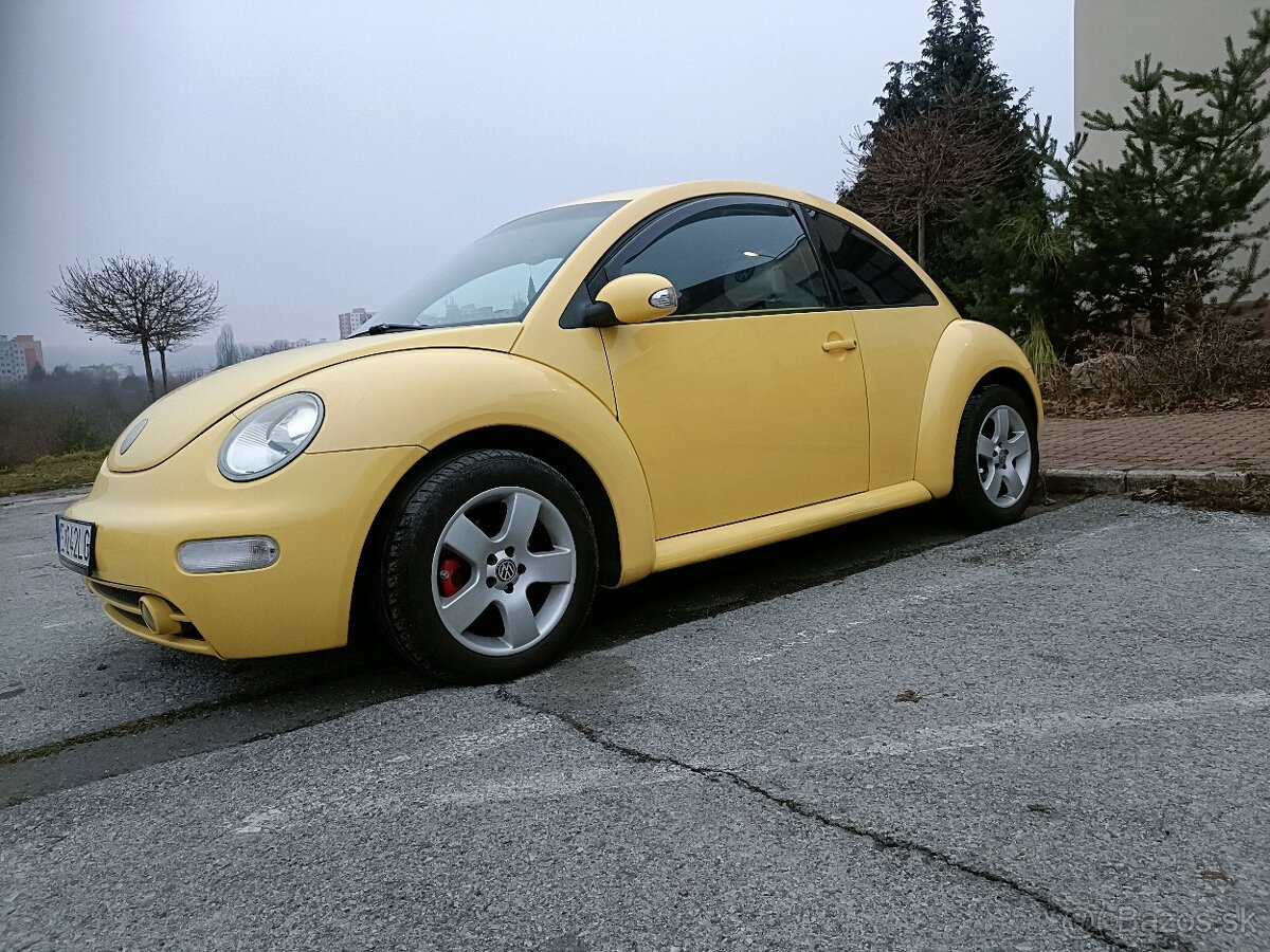 Beetle - 5
