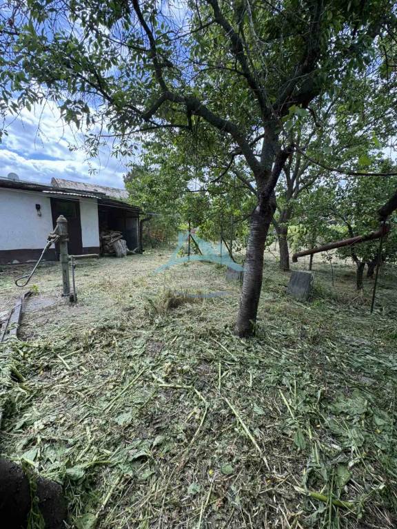 Na predaj: Rodinný dom v Šahách – časť Homok - 5