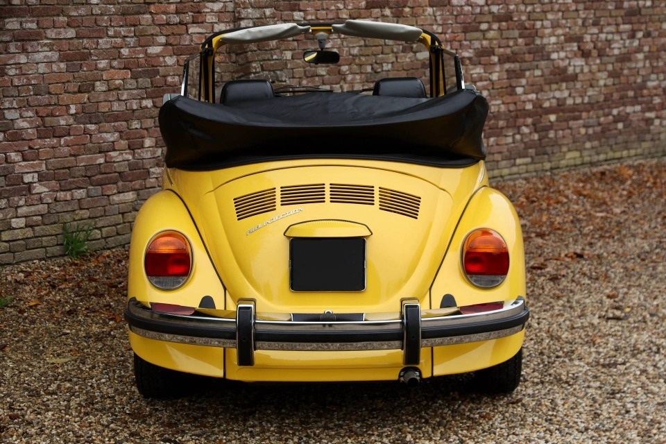 Volkswagen Beetle - 5