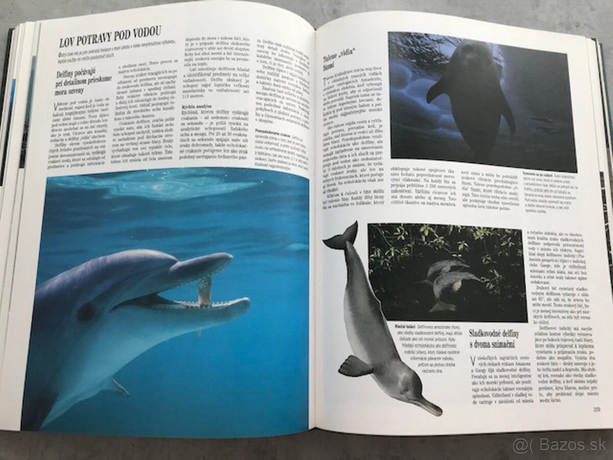 Súkromie živočíchov - 5