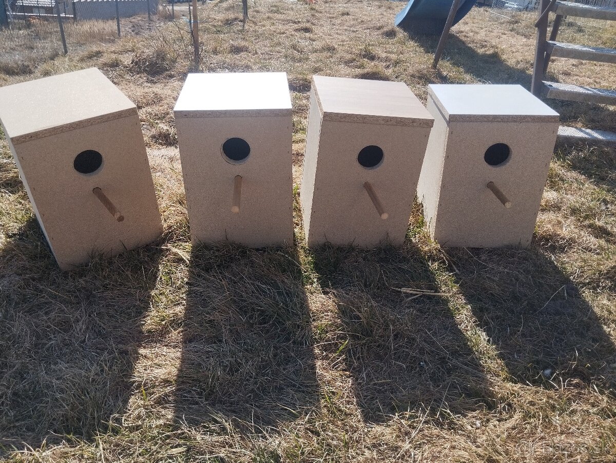 Hniezdiaca búdky - 5