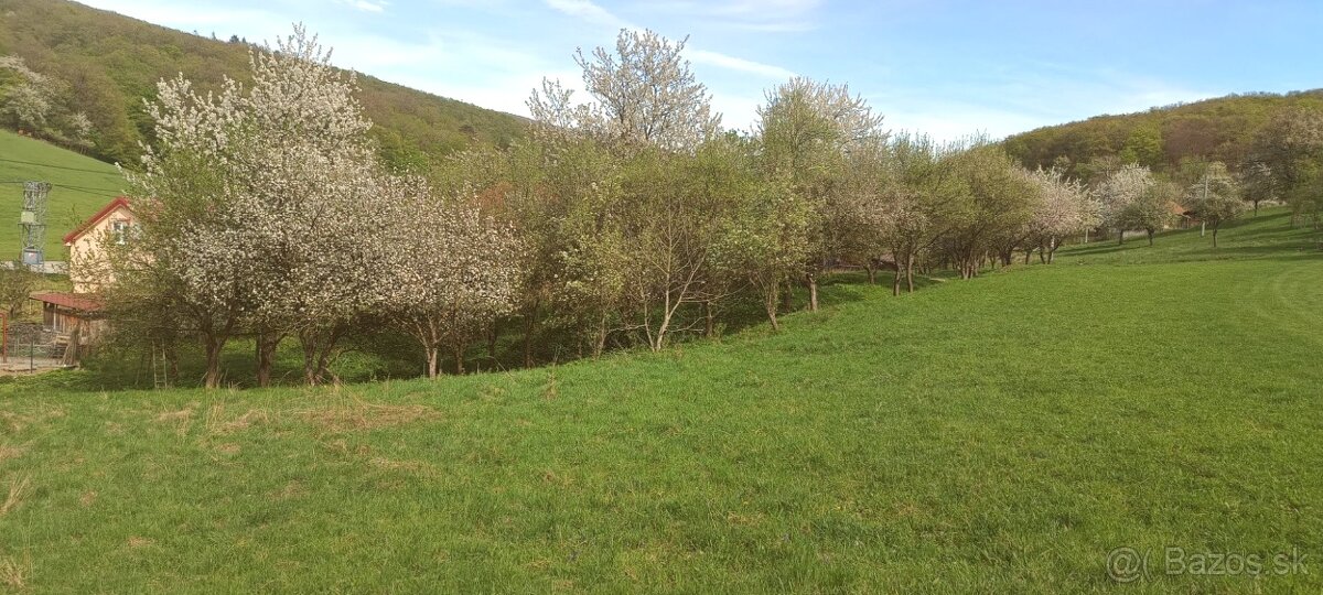 Pozemok-Hrádok – Dolina s celkovou výmerou 9.365m2 a RD - 5