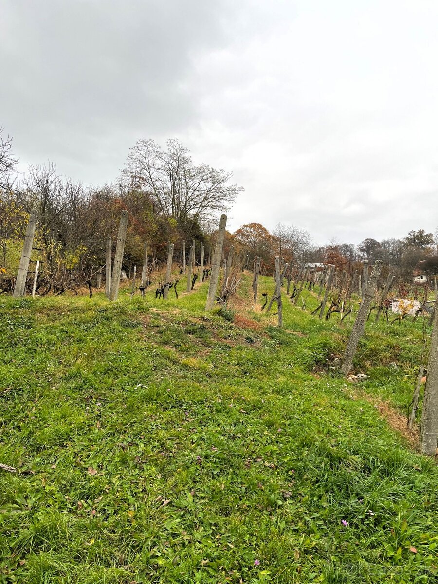 Rekreačný domček so širokým slnečným pozemkom, Staré Levice - 5