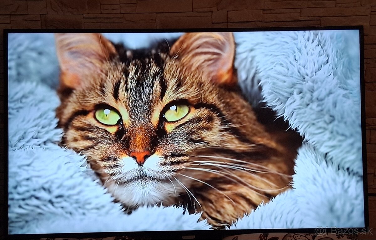 4K Philips uhlopriečka 139cm - 5