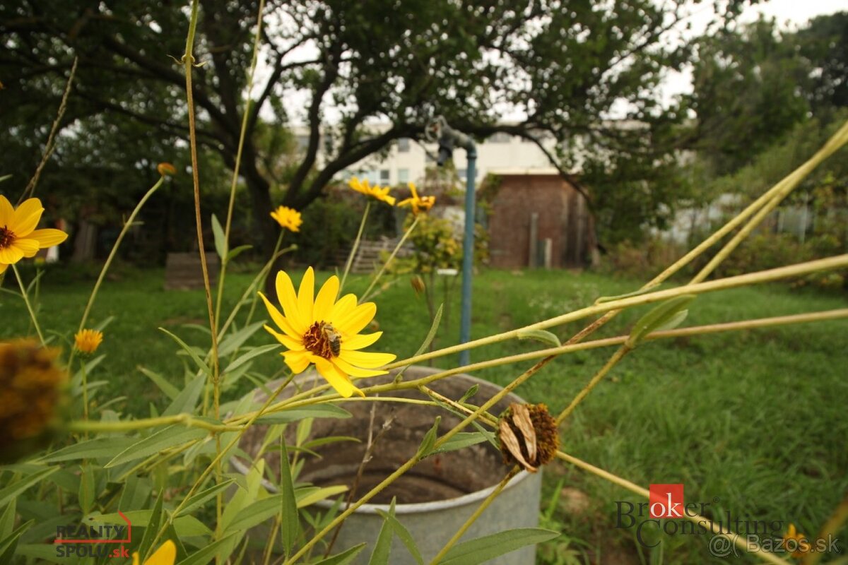 Na predaj záhradná chata, Nitra - 5