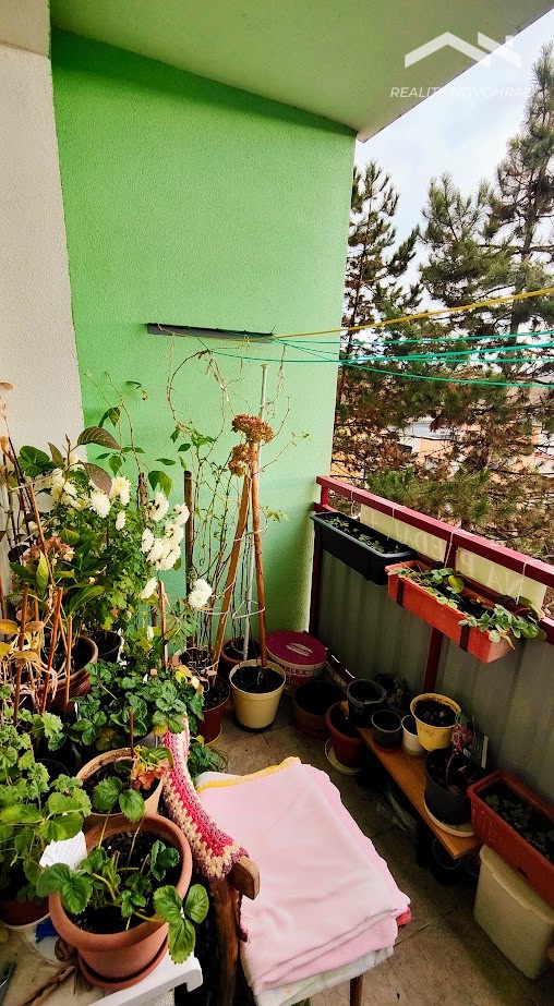 🎁 Predvianočná AKCIA: 2-izbový byt s lodžiou - Rúbanisko II - 5