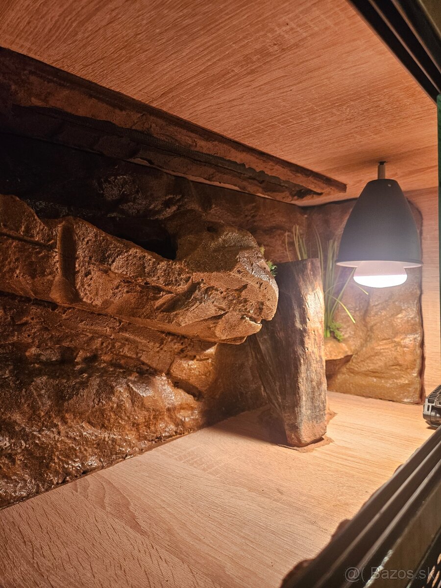 Terárium 80x40x40 Gekončíķ nočný Vianočna zľava - 5