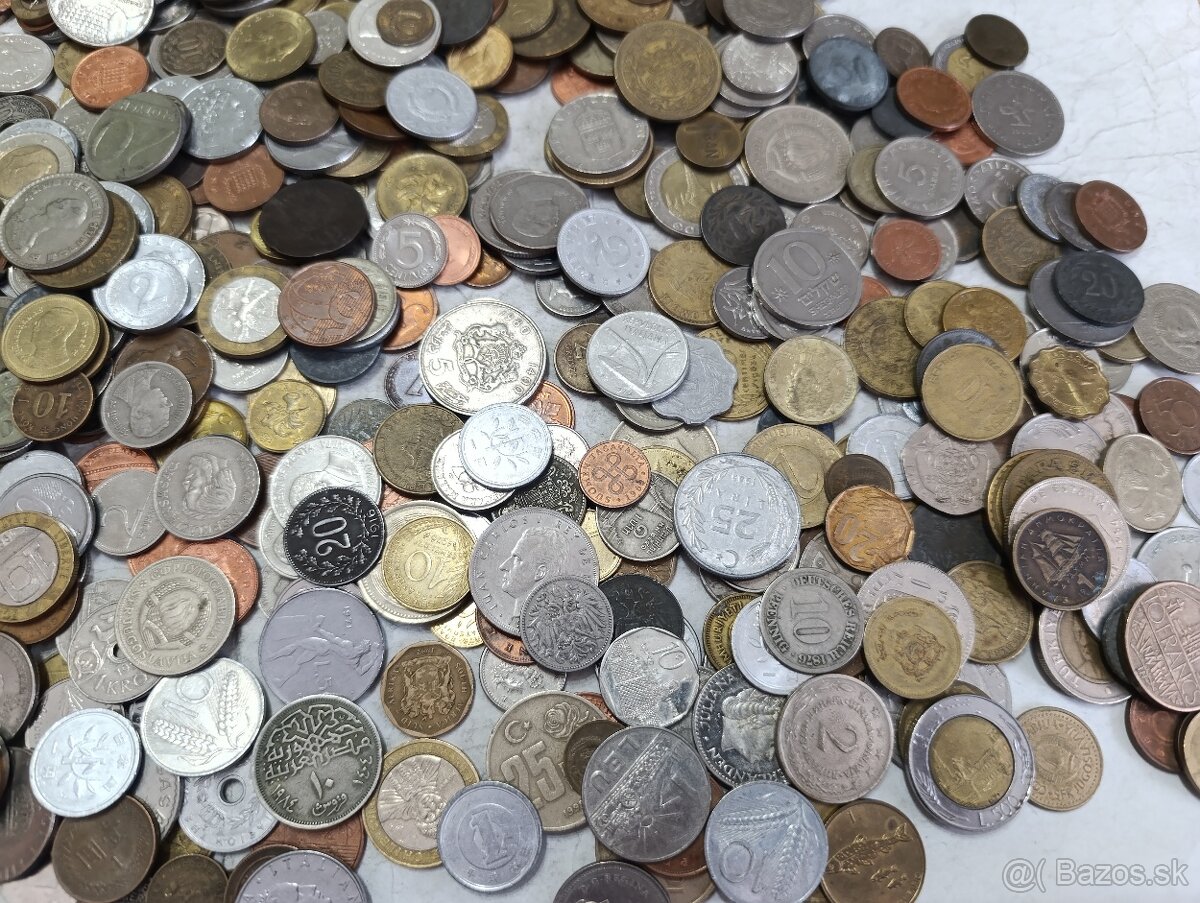 Mince 2.5kg lot4 - 5