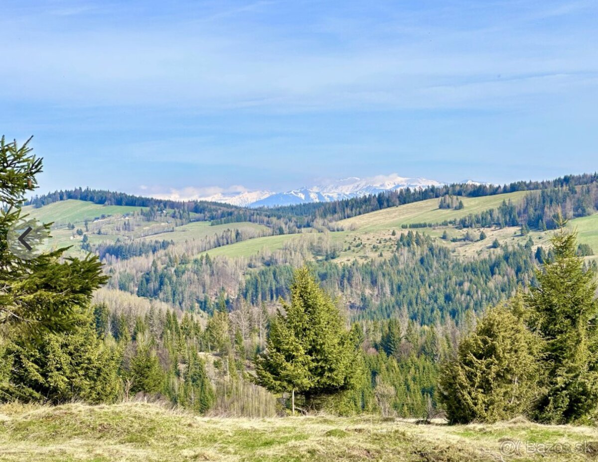 Pozemok STAVEBNÝ 8000m2 zo Zastavanou plochou 300m2 - 5