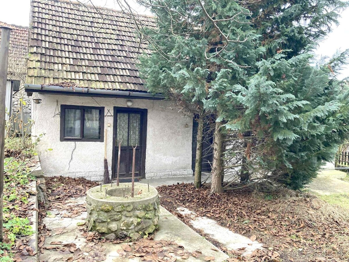 Dva domy na jednom pozemku, dielňa,garáž Hollóháza - 5