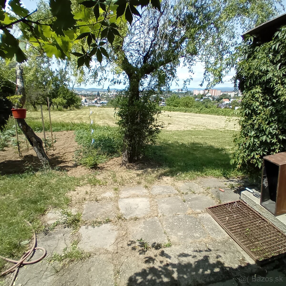 Investičný pozemok Levice 3300 m2 -Staré Levice aj chatka - 5