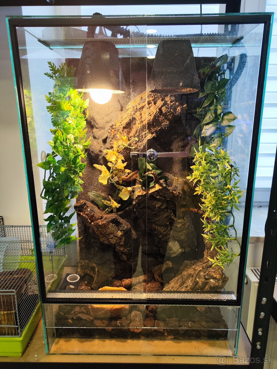 Predám terarium s pagekonmi - 5