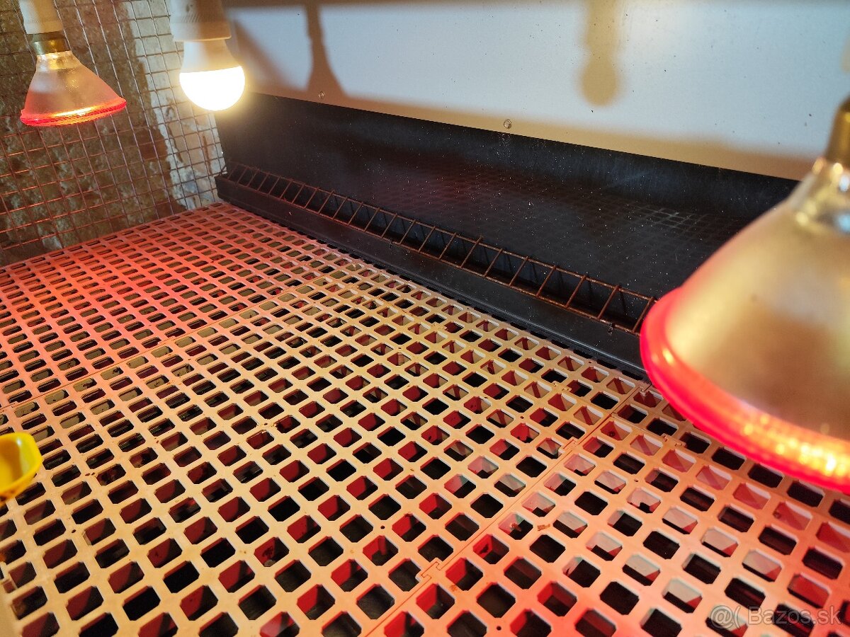 Špičkové odchovne pre hydinu – komplet vybavené - 5