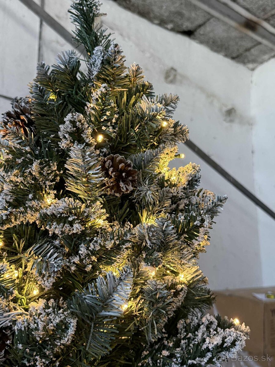 Vianočné stromčeky - 5