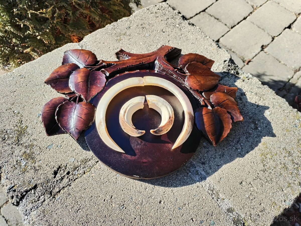 Trofej kly na podložke - 5