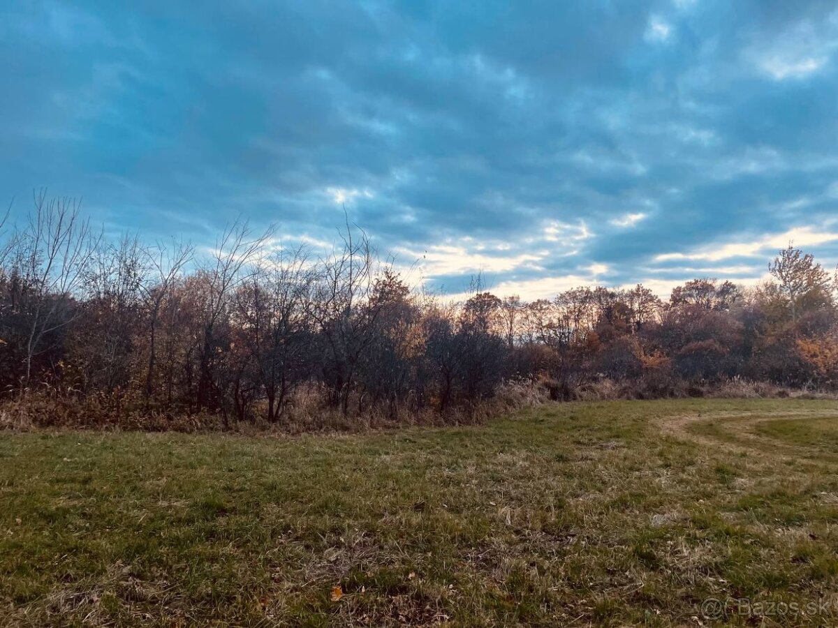 Pozemok - Lúka, Malé Leváre, 26 385 m² - 5