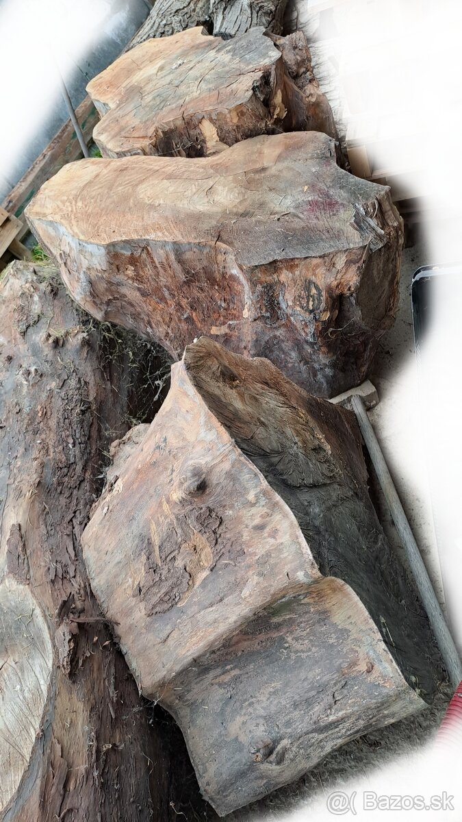 Predam orechove drevo - 5