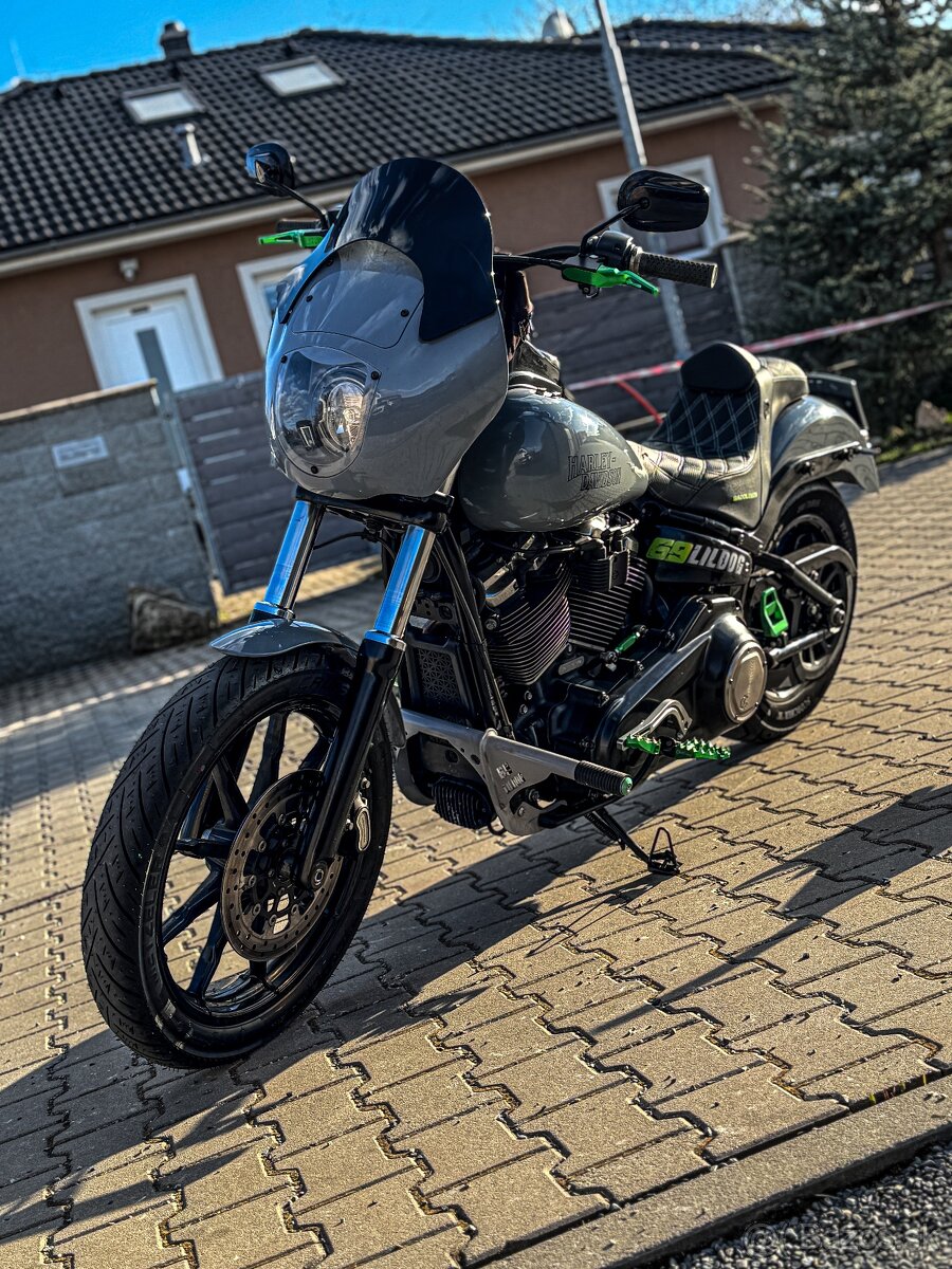 Harley-Davidson FXLR Low Rider M8 - 5