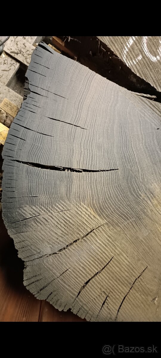 Predám dub bahenny, koláče, priečne rezy - 5