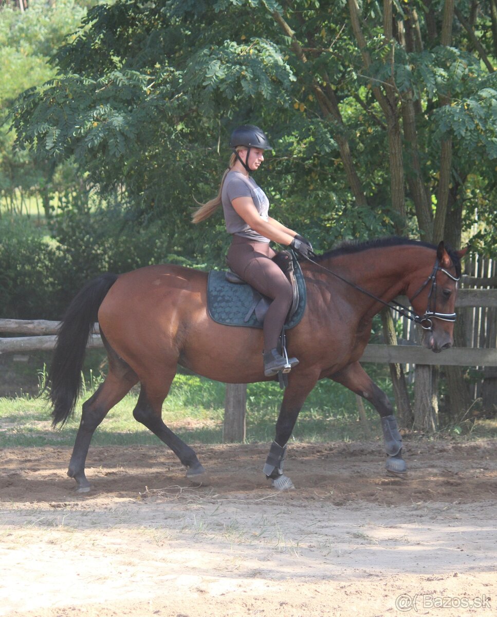 Všestranná kobyla - 5