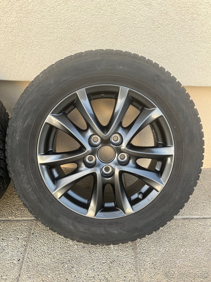 Zimna sada MAZDA R16 - 5