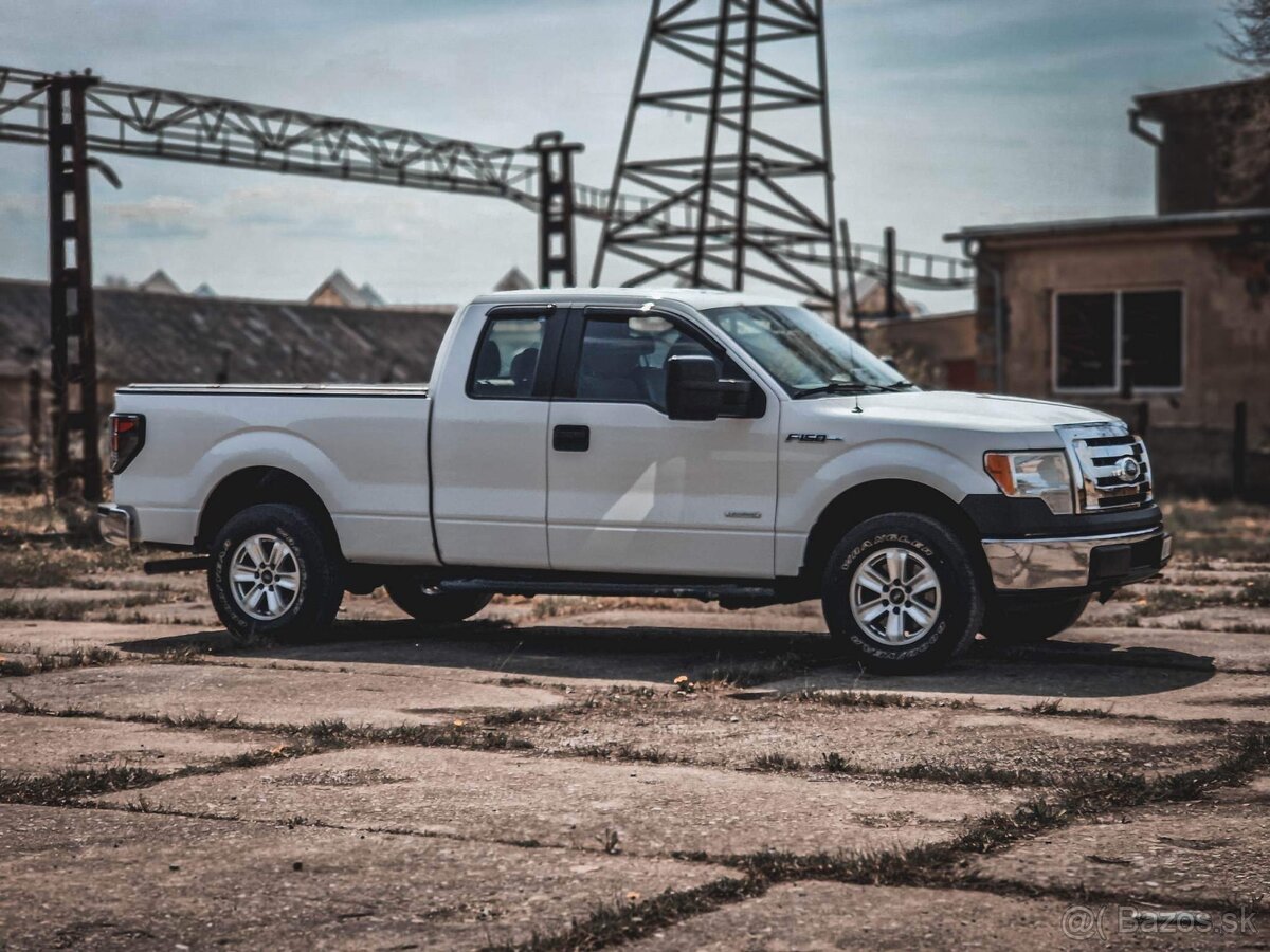 Ford F150 - 5