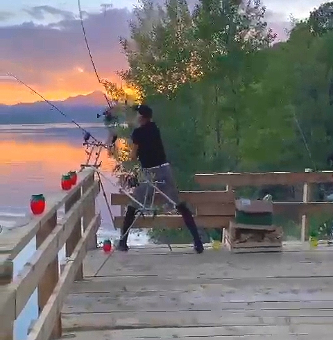 Prenájom - Predaj - 5