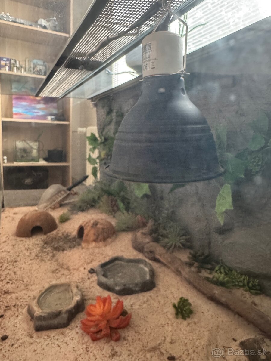 Veľké zariadené terárum pre gekončíka (120 x 50 x 50cm ) - 5