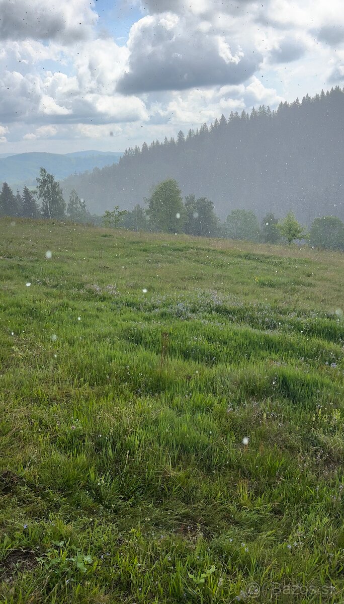 STAVEBNÝ POZEMOK Lom nad Rimavicou 14100m2 - 5