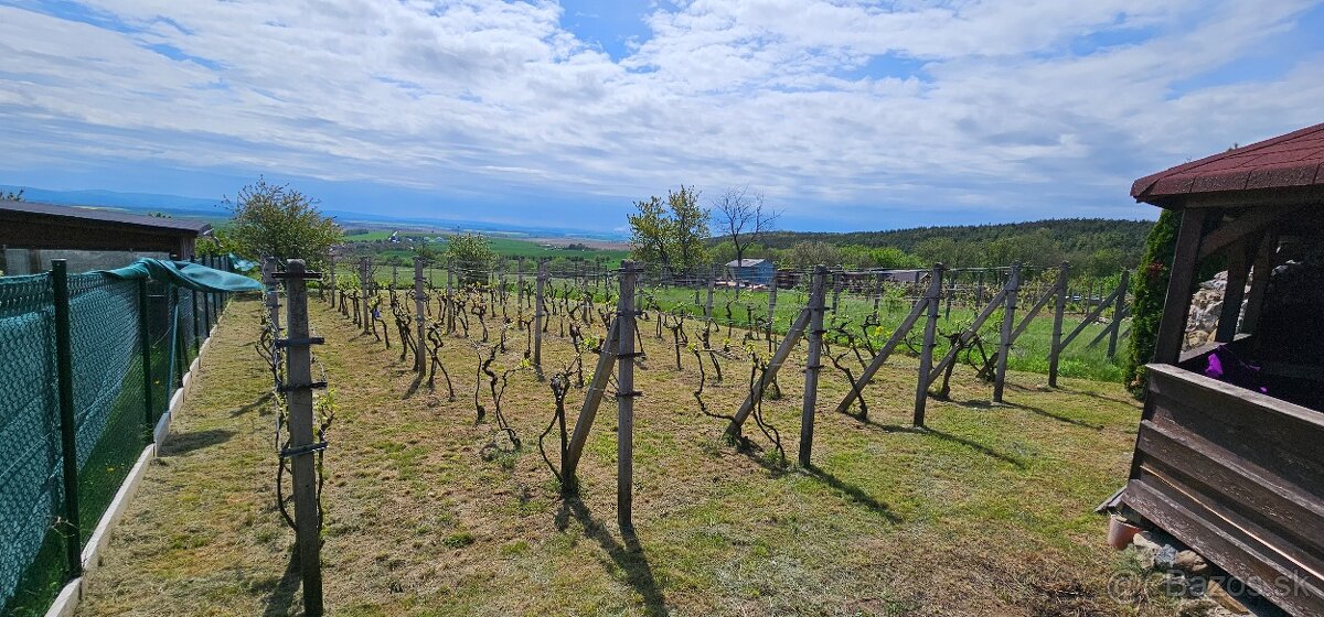 Rekreačná záhradná chatka, Kočín - 5