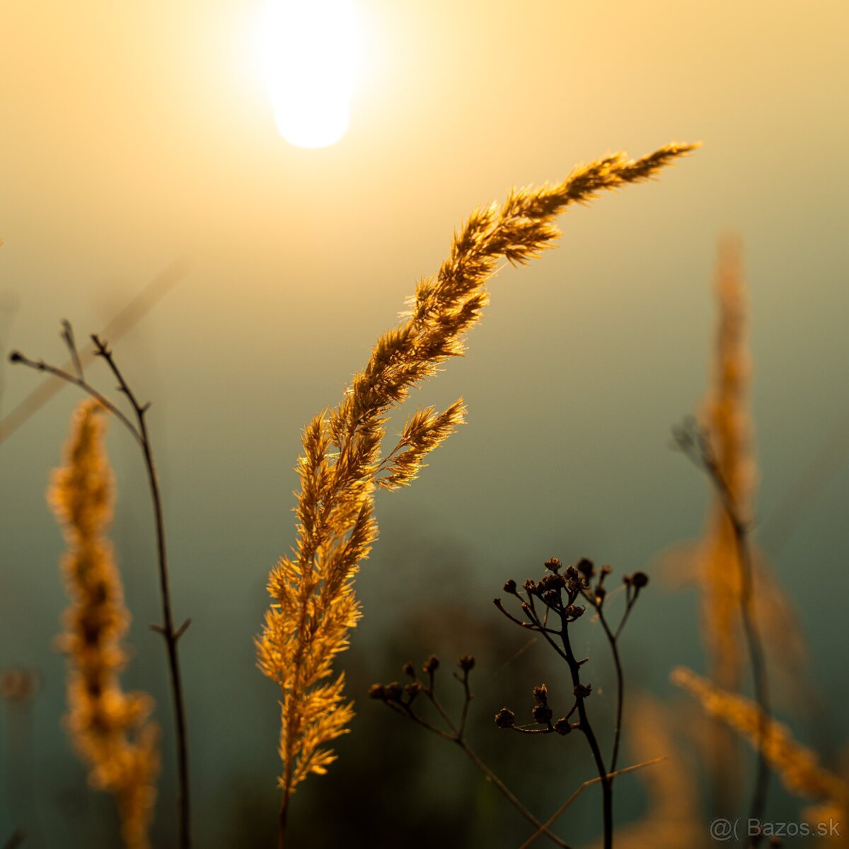 PREDÁM SONY A 7 R II + brašňa+ Zeiss Tessar 50/2,8 - 5