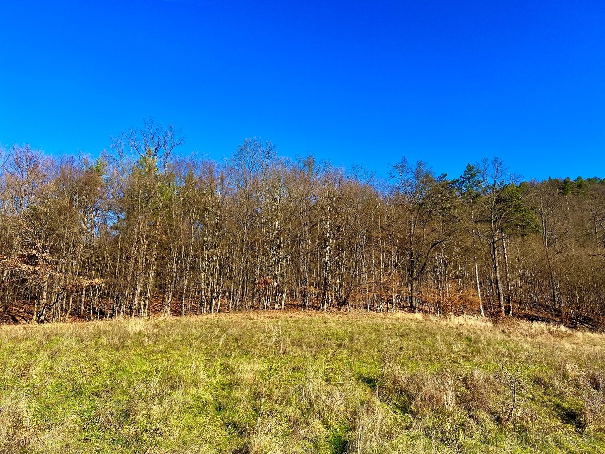 PREDAJ- POZEMOK PRI LESE - VOZNICA - 5