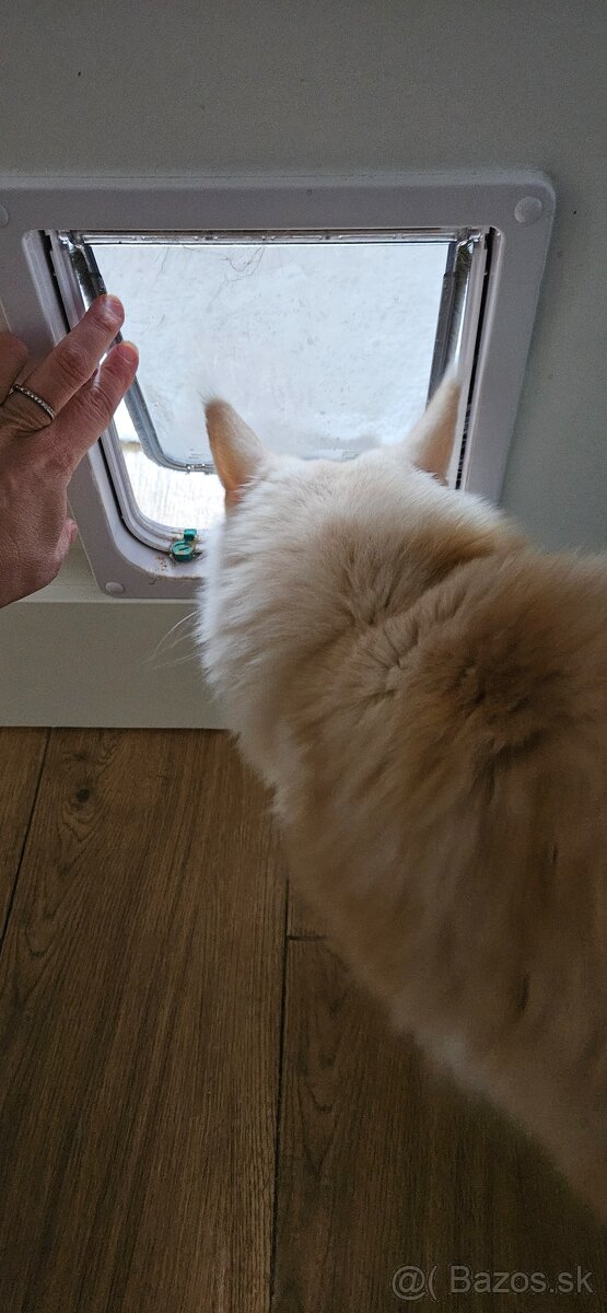 Dvierka pre macky /mensie psy - 5