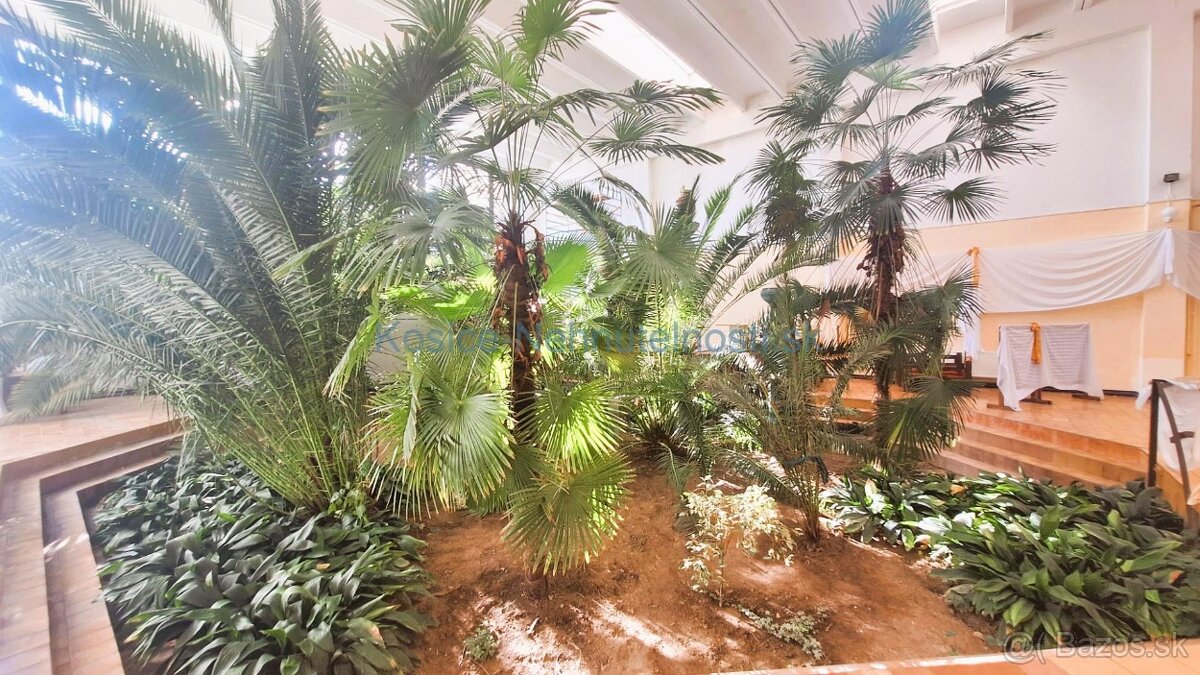 Podnikateľský objekt 3240 m2 Veľké Kapušany - 5