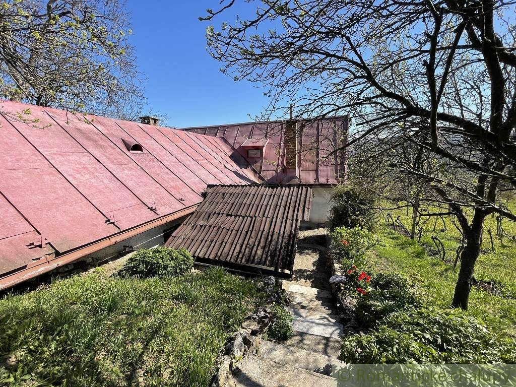 Rozsiahla vinica s historickou chatou v Slovenskom krase - 5