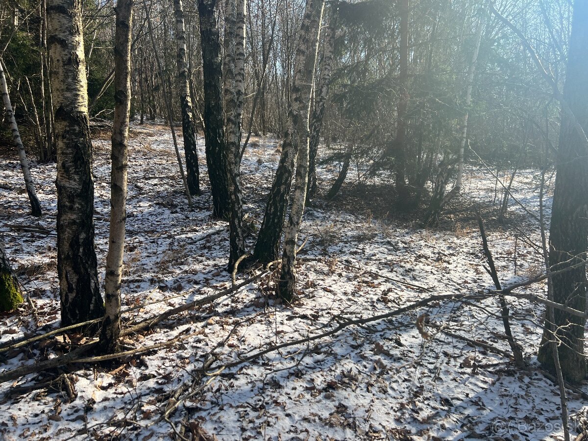 PREDAJ lesný pozemok, Chotár, Nová Baňa, 10 842 m2 - 5