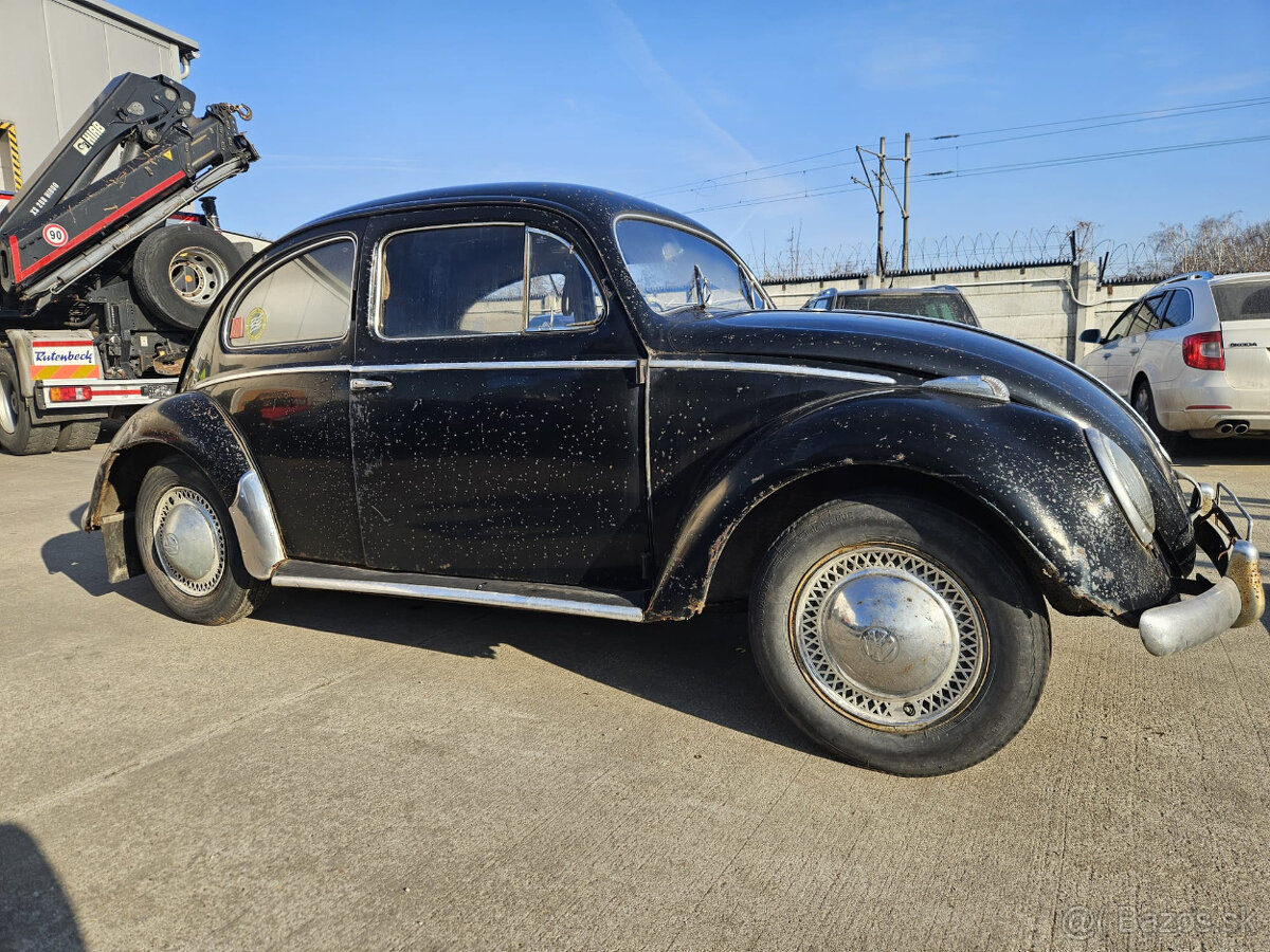 Volkswagen chrobak OVAL 1956 s TP - 5