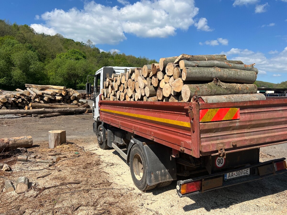 PALIVOVE DREVO METROVICA - 5