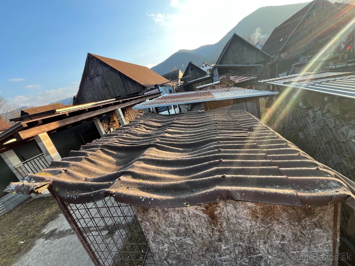 Predam psiu budu. - 5