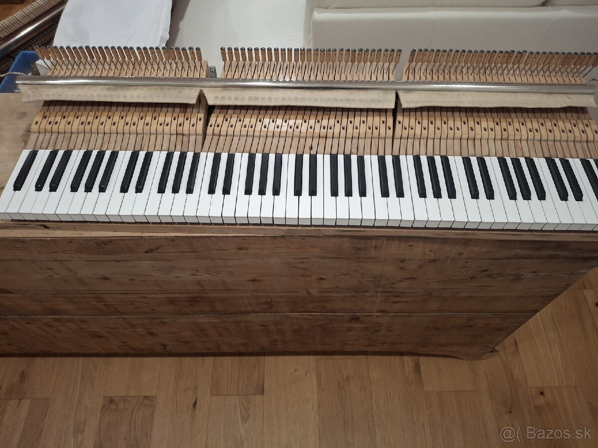 Projekt klavír Hoffman & Czerny - 5