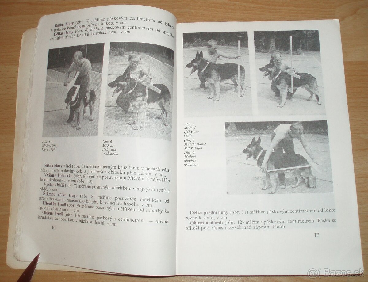 Pes a jeho výcvik - 5