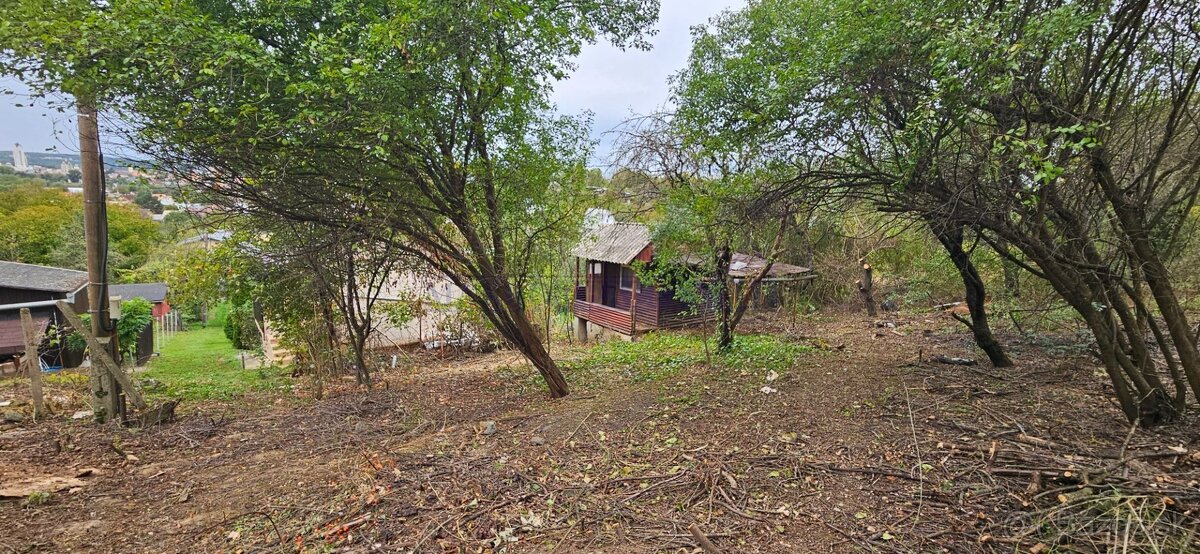 Zahradka Mala Ves Lucenec ID 2231 - 5