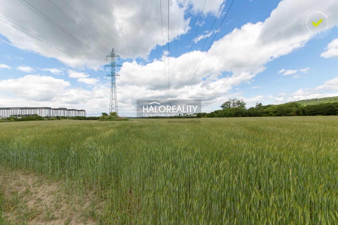 HALO reality - Predaj, záhradný pozemok 5755 m2 Bratislava - 5