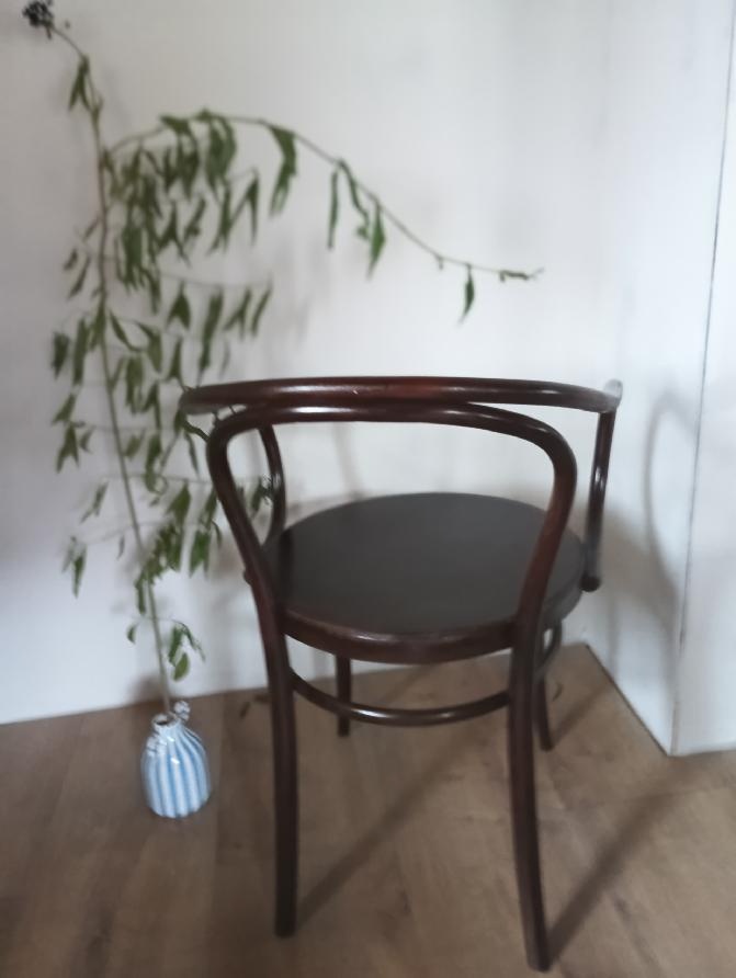 kreslo TON velké 2 kusy - 5