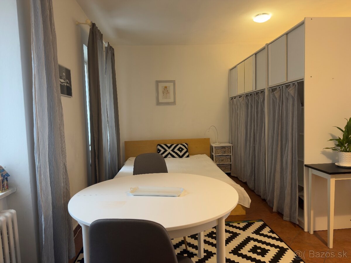 Veľký 1-i byt v pešej zóne centra Bratislavy (bez provízie) - 5