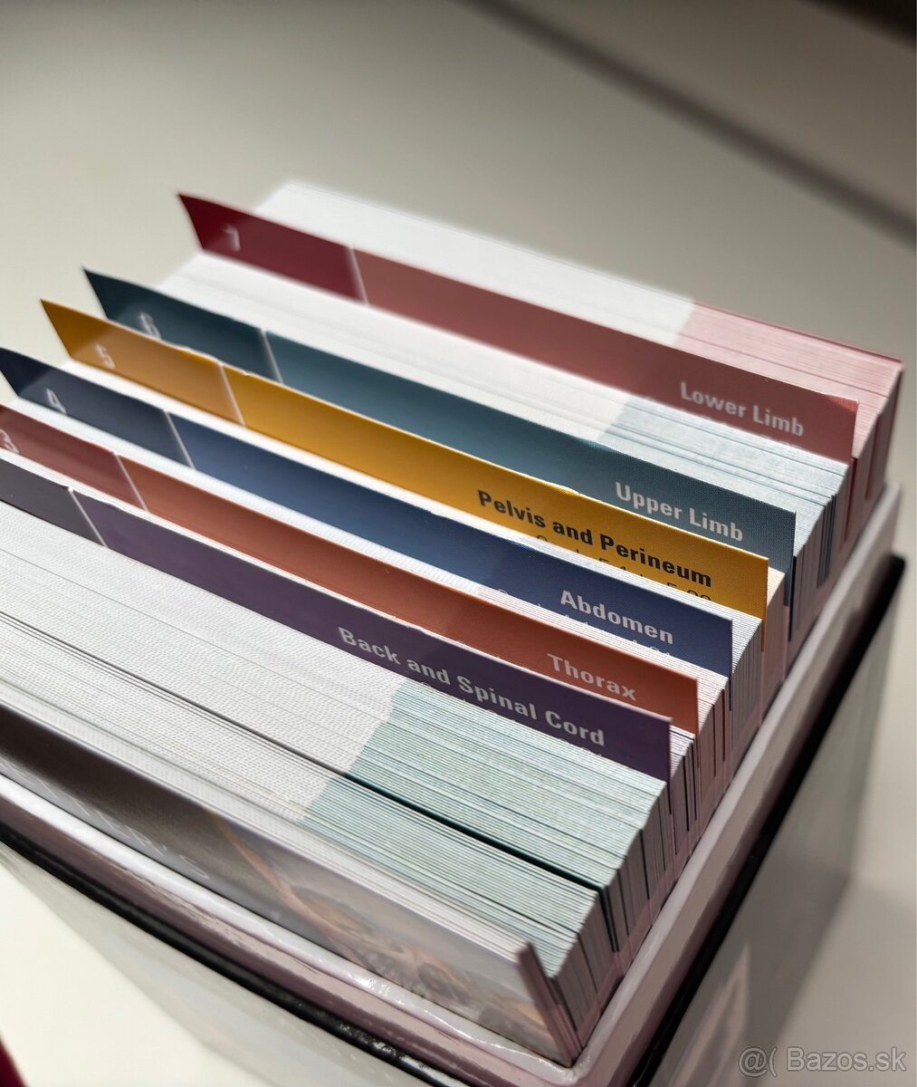 Flashcards na anatómiu - 5