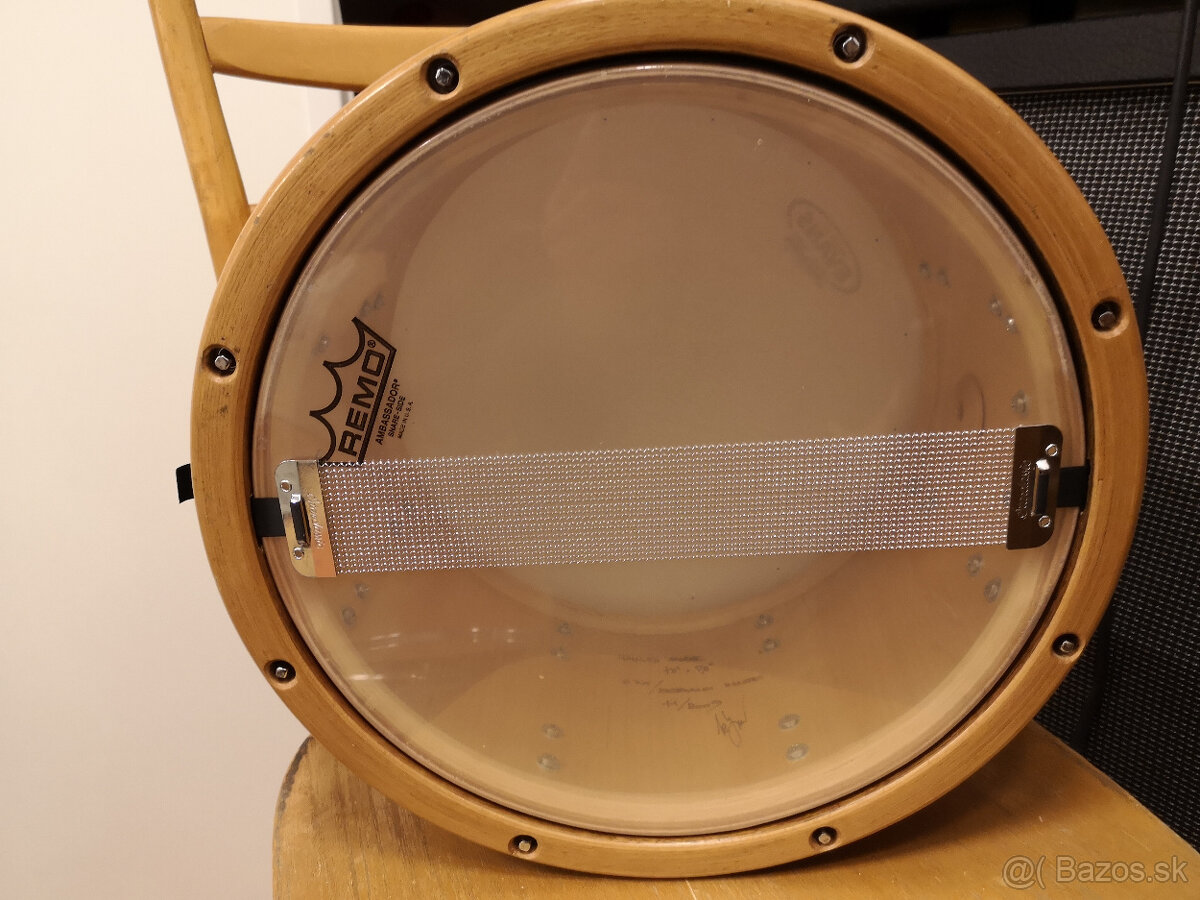 Snare Hallwad - 5