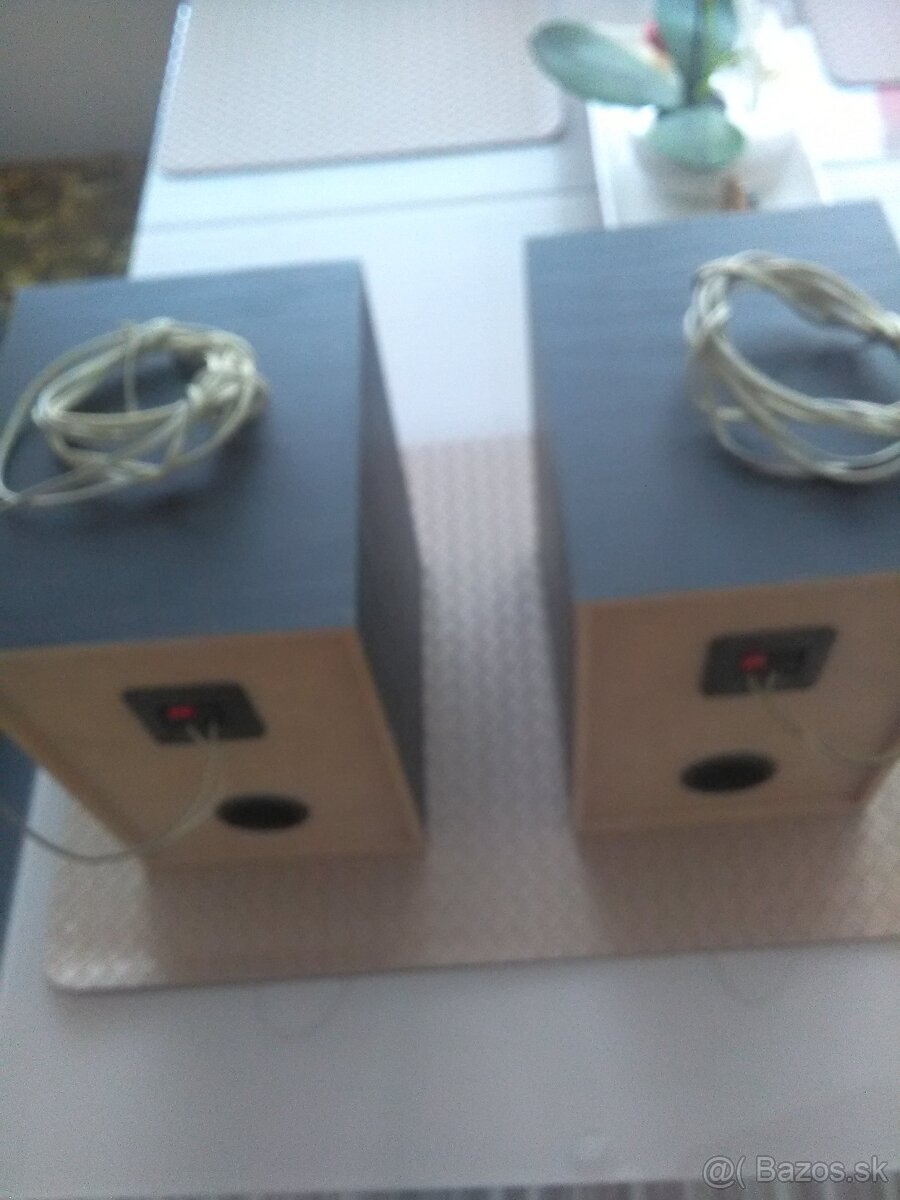 Starsie reprobedne - 5